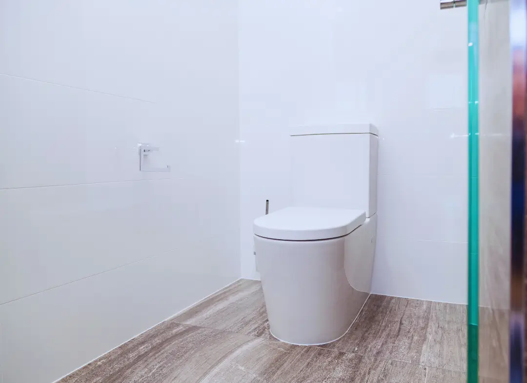 Remplacement de wc Sin-le-Noble